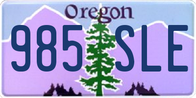 OR license plate 985SLE
