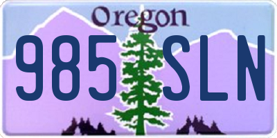 OR license plate 985SLN