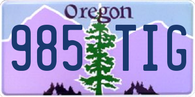 OR license plate 985TIG