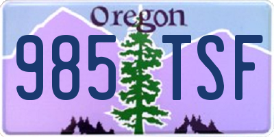 OR license plate 985TSF