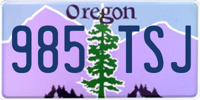 OR license plate 985TSJ
