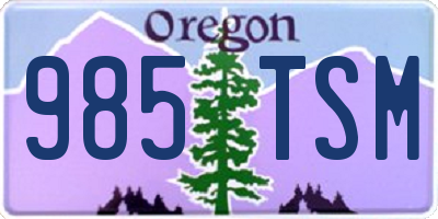 OR license plate 985TSM