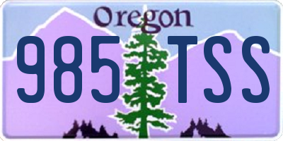 OR license plate 985TSS
