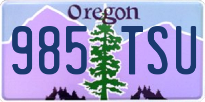 OR license plate 985TSU