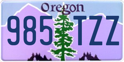 OR license plate 985TZZ