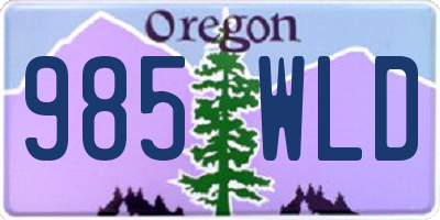 OR license plate 985WLD