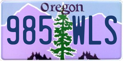 OR license plate 985WLS