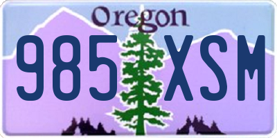 OR license plate 985XSM