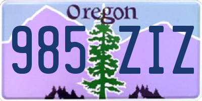OR license plate 985ZIZ