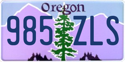 OR license plate 985ZLS