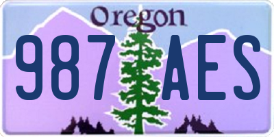 OR license plate 987AES