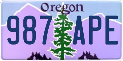 OR license plate 987APE