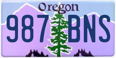 OR license plate 987BNS