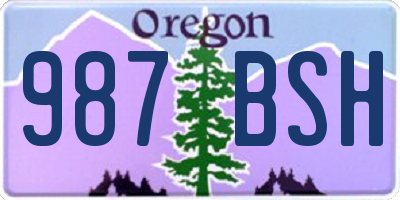 OR license plate 987BSH