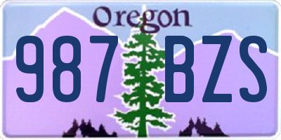 OR license plate 987BZS