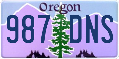 OR license plate 987DNS