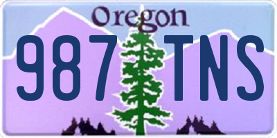 OR license plate 987TNS