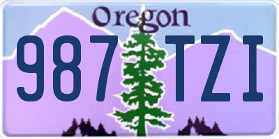OR license plate 987TZI
