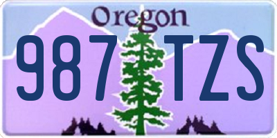 OR license plate 987TZS