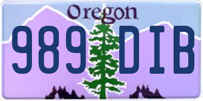 OR license plate 989DIB