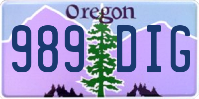OR license plate 989DIG