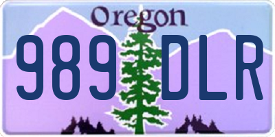 OR license plate 989DLR