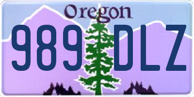 OR license plate 989DLZ
