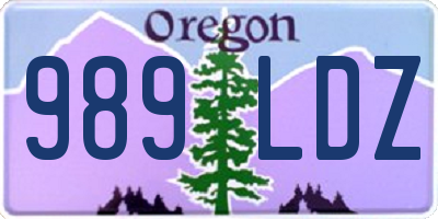 OR license plate 989LDZ