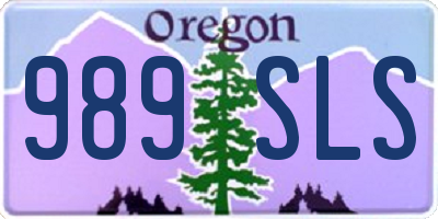 OR license plate 989SLS