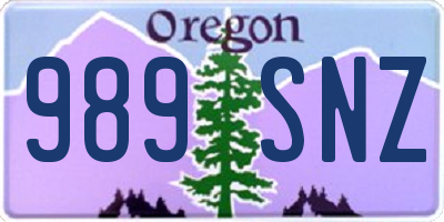 OR license plate 989SNZ