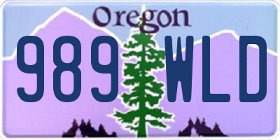 OR license plate 989WLD