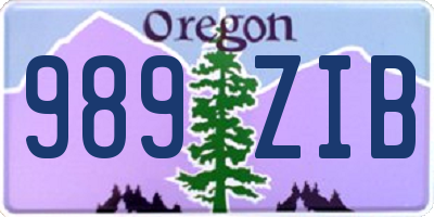 OR license plate 989ZIB