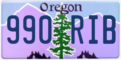 OR license plate 990RIB