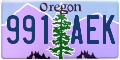 OR license plate 991AEK