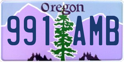 OR license plate 991AMB