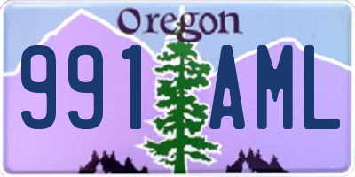 OR license plate 991AML