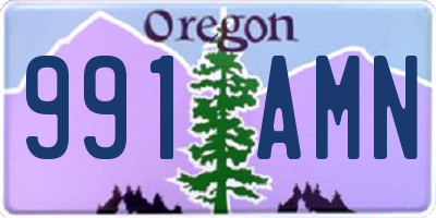 OR license plate 991AMN