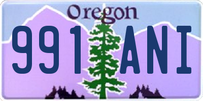 OR license plate 991ANI