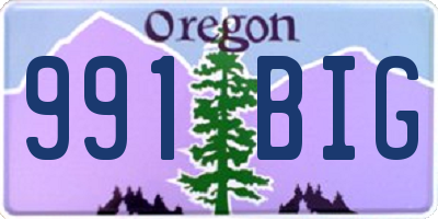 OR license plate 991BIG