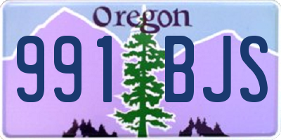 OR license plate 991BJS