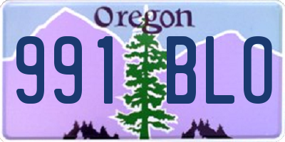 OR license plate 991BLO
