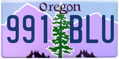 OR license plate 991BLU