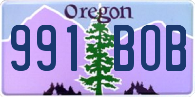 OR license plate 991BOB