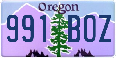 OR license plate 991BOZ