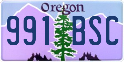 OR license plate 991BSC