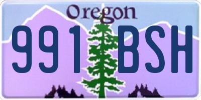OR license plate 991BSH