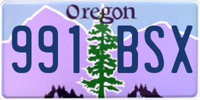 OR license plate 991BSX