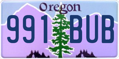 OR license plate 991BUB