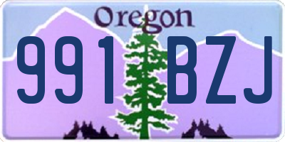 OR license plate 991BZJ