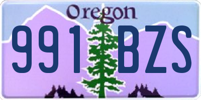 OR license plate 991BZS